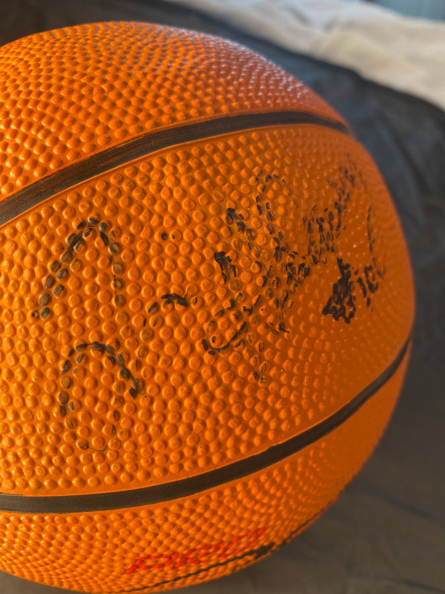 Tim Hardaway Signed Basketball COA