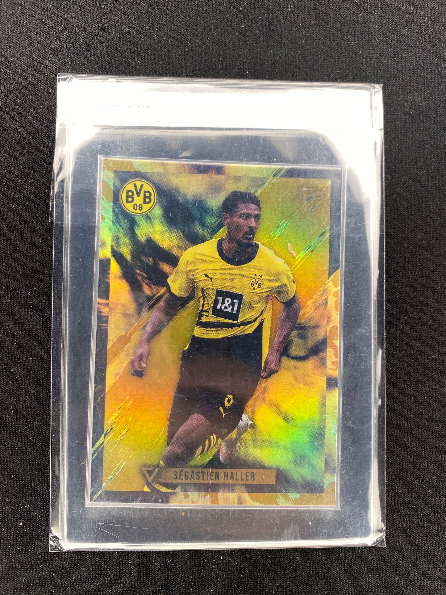 Sebastien Haller /50